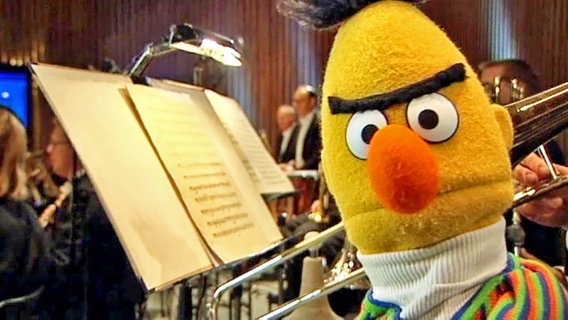 Bert steht inmitten des Orchesters der NDR Radiophilharmonie © NDR 
