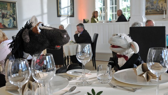 Pferd und Wolle sind in einem feinen Restaurant © NDR / Uwe Ernst 